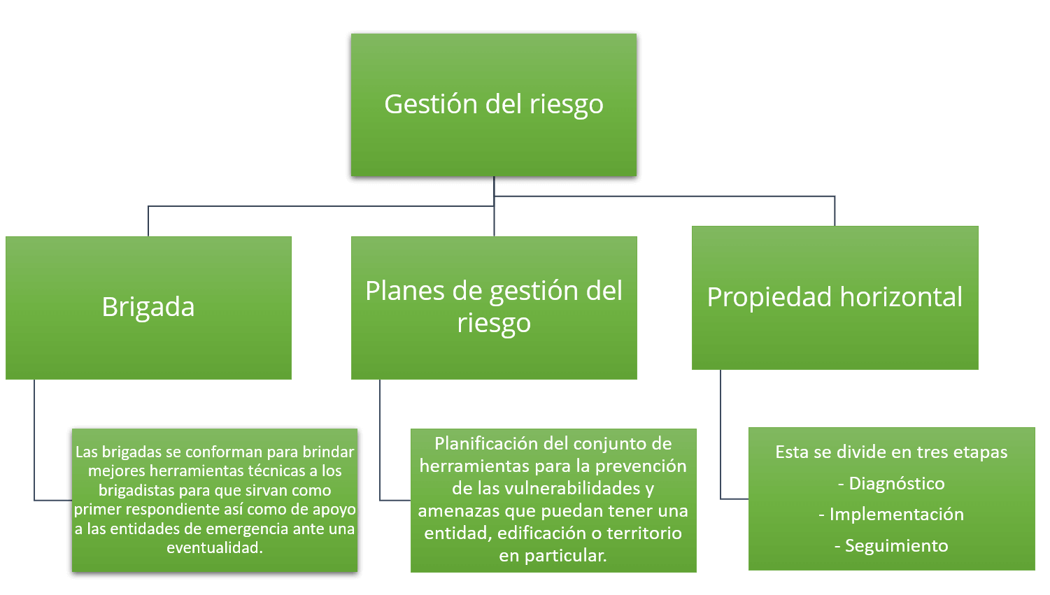 Imagen17
